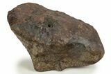 Chondrite Meteorite ( kg) - Unclassified NWA #302277-1